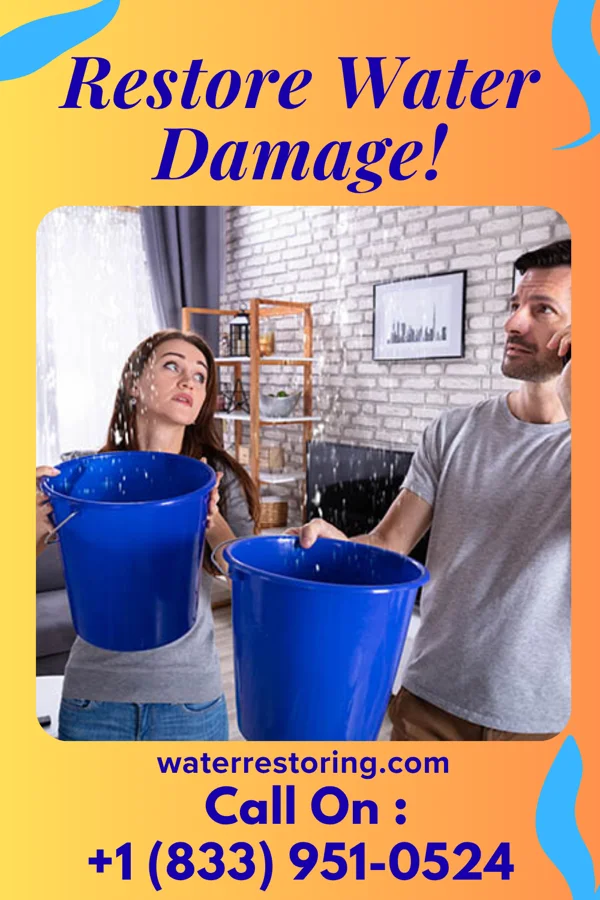 water restoration Express Sewage Cleanup Experts Corrigan