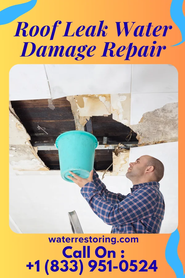 Roof Leak Water Damage Repair in Corrigan, TX